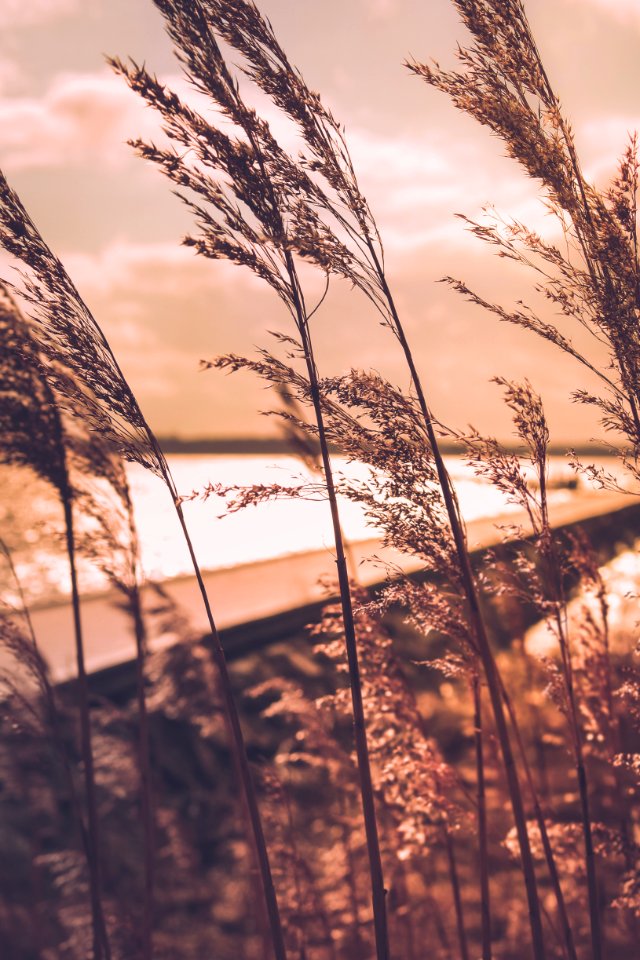 Sun, Sky, Water