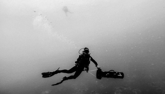 greyscale photo of man wearing spring suit underwater photo