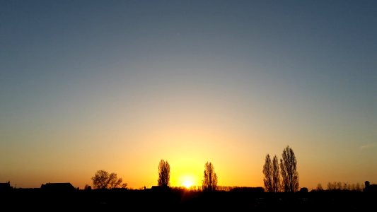 Red blue ligth, Blue sky, Trees