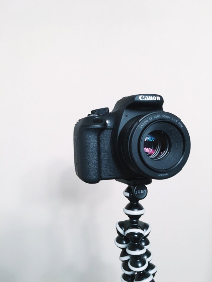 50mm, Photos, Photography