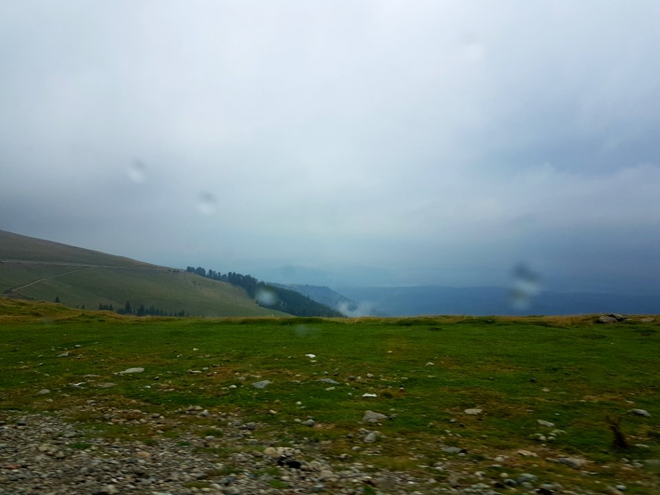 Gorj county, Romania, Green