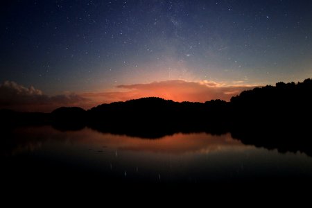 reflection photo of trees