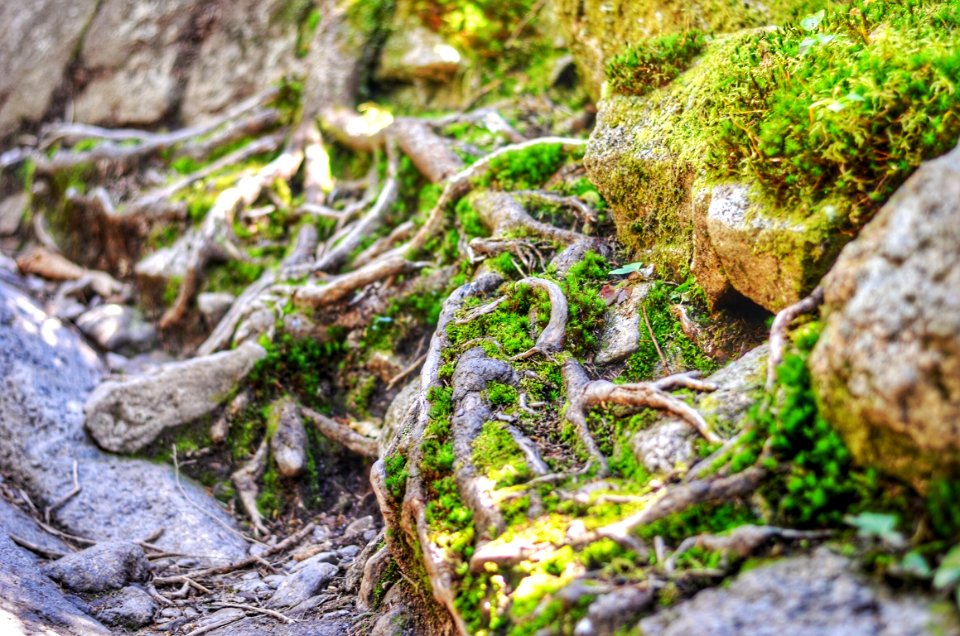 Franconia notch, Lincoln, United states