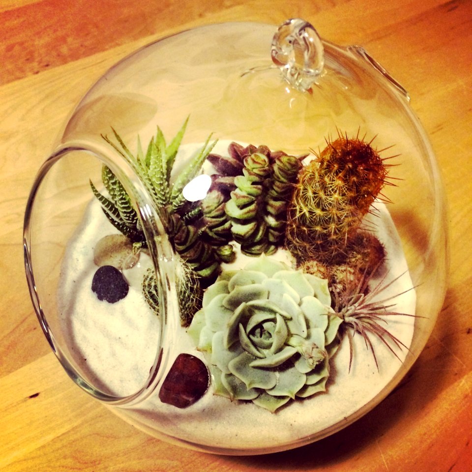 Interior design, Decorate, Nature