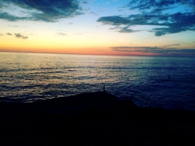 Sunset cliffs, San diego, United states photo