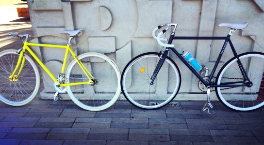 two fixie bicycles beside each other photo