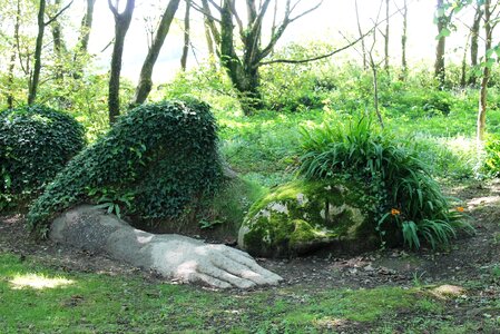 Sleep green beautiful woman