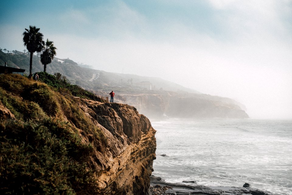California, Waves, Palm