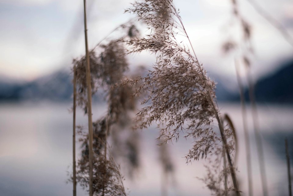 Zell am see, Austria, Bokeh