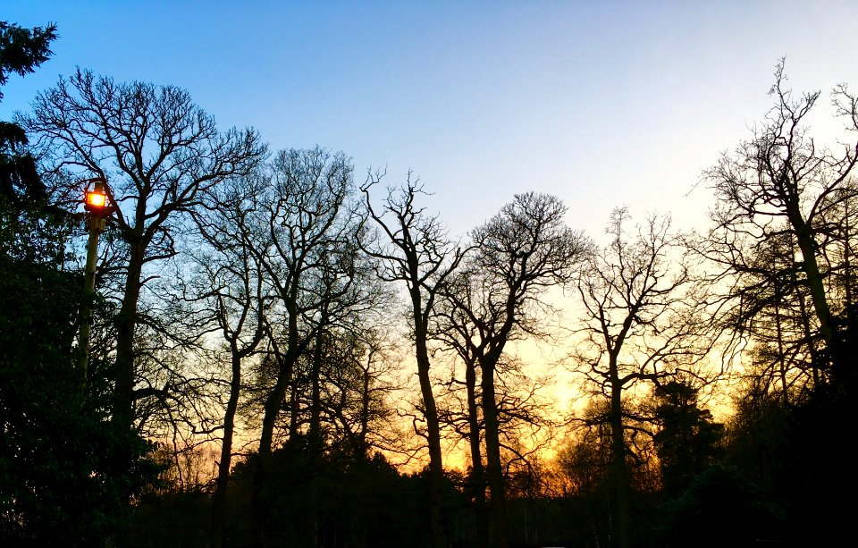 Norwich, United kingdom, Sunset