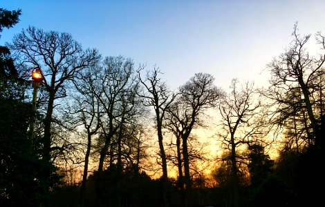 Norwich, United kingdom, Sunset photo