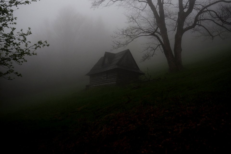 gray wooden house covered by fog