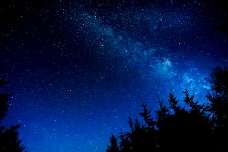 silhouette of trees under night stars