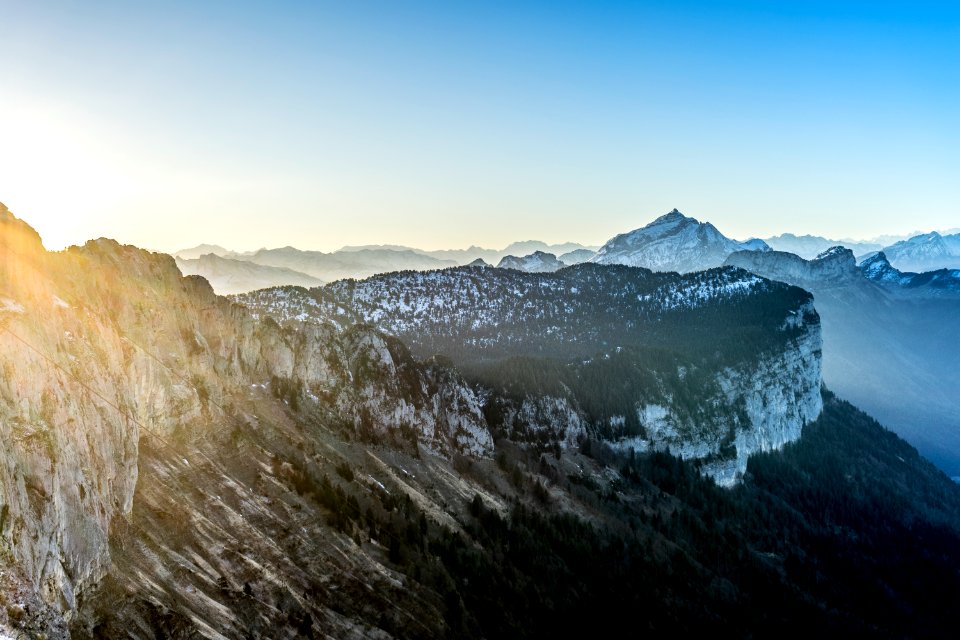 trees on cliff under clear sky