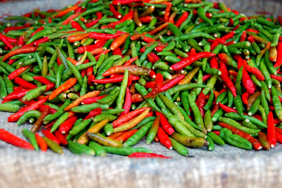close-up photography of green and red chili