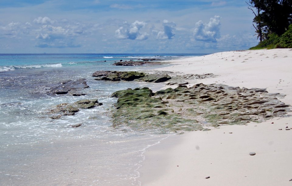 Indian ocean, Environment, Nature
