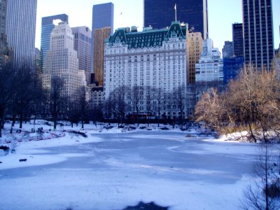 Central park, New york
