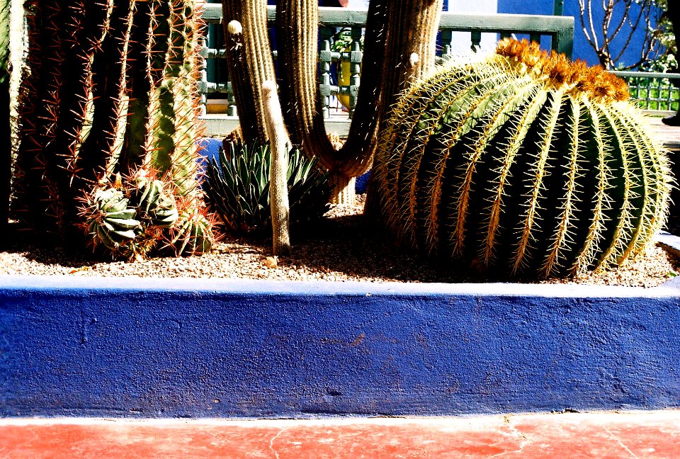 Morocco, Rue yves saint laurent, Marrakech