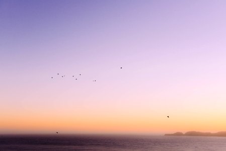 San francisco, United states, Sunset