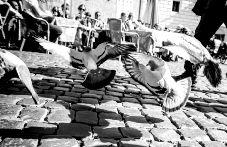 Rome, Italy, Coffee