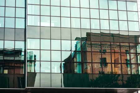 Pozna, Pol, Perspective