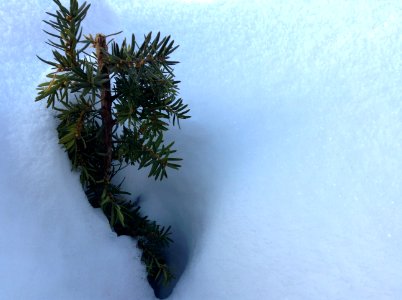 Elk ridge, United states, Cold
