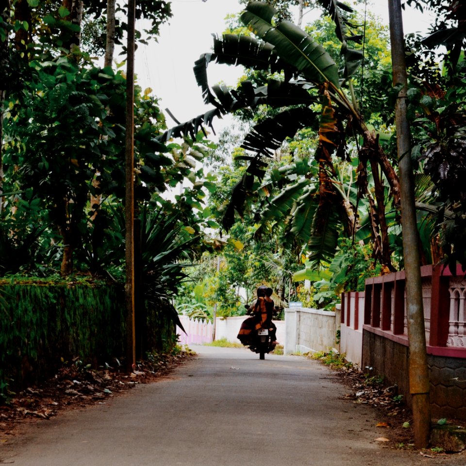 Kerala, India, Seclusion