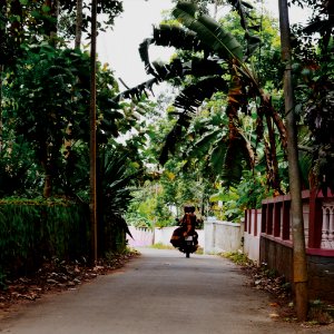 Kerala, India, Seclusion photo