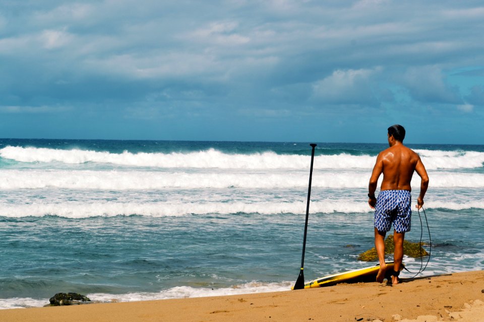 Puerto rico, Jobos, Paradise photo