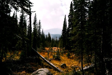 Estes park, United states, Storm