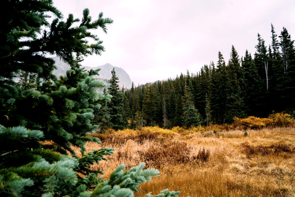 Estes park, United states, Mountains