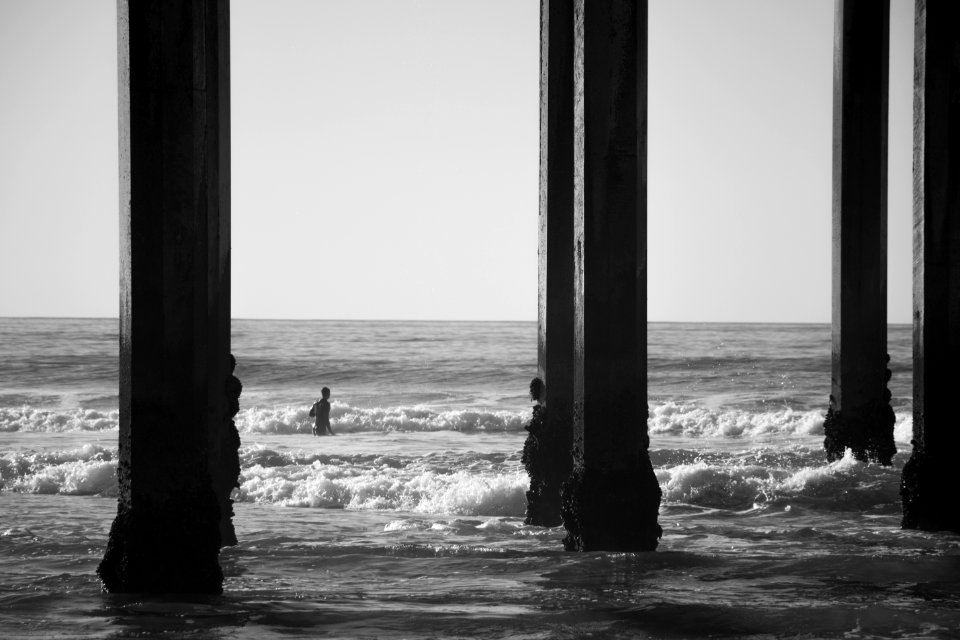 Ellen browning scripps memorial pier, United states, Search