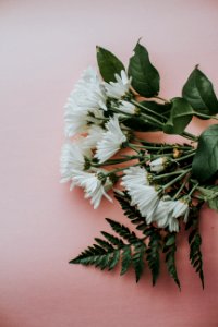 Happy, Grow, Flower