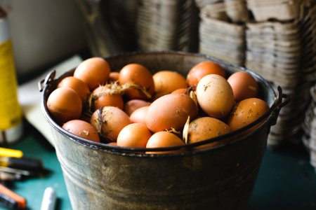 Fresh, Farming, Farmer