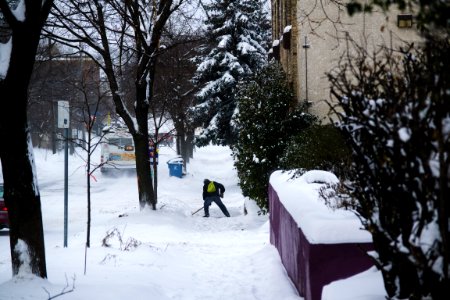Polar vortex, Snowfall, Sidewalk