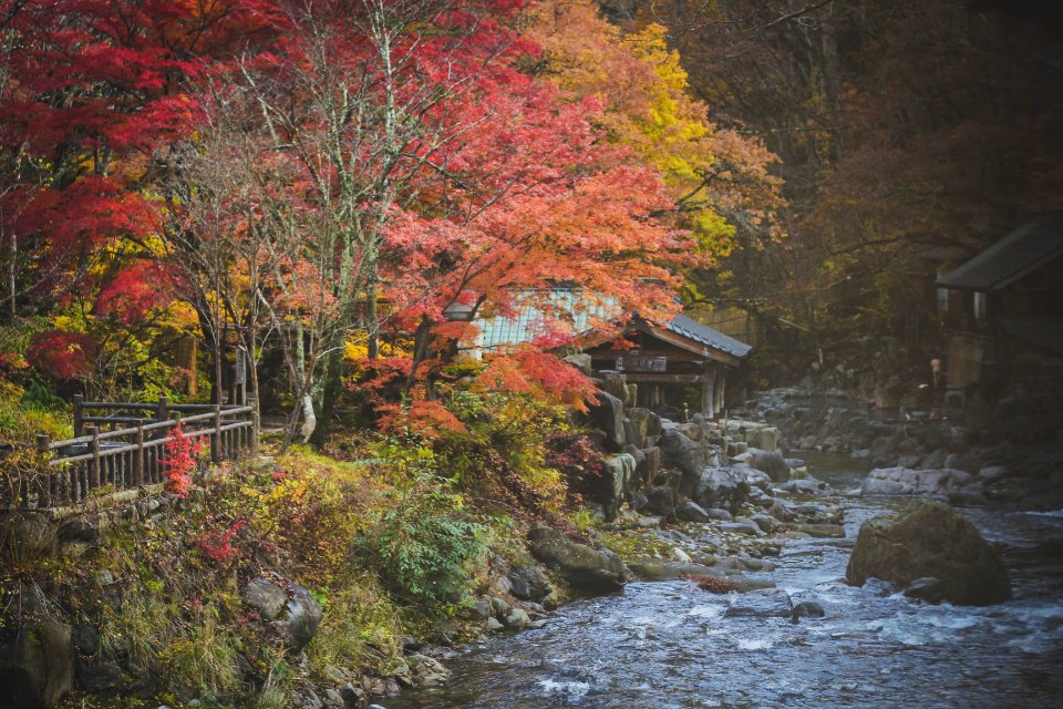 Japan, Minakami, River