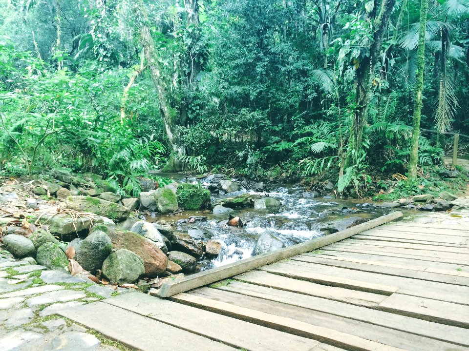 Trilha do betari, Iporanga  sp, 18330000