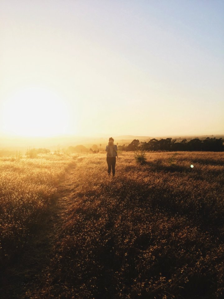 Hollister, California, United states