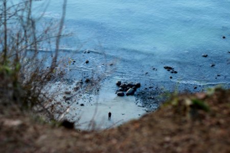 landscape photo of body of water