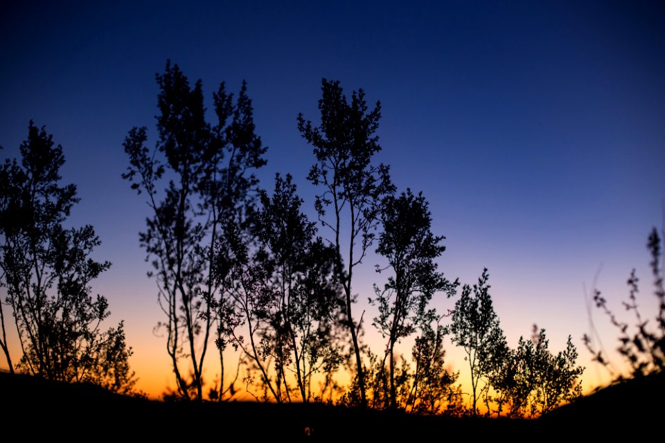 Borrego springs, United states