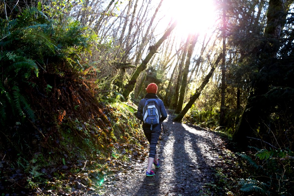 Redwood national, State parks, United states