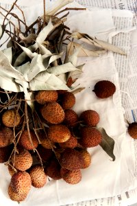 brown fruits on white textile photo