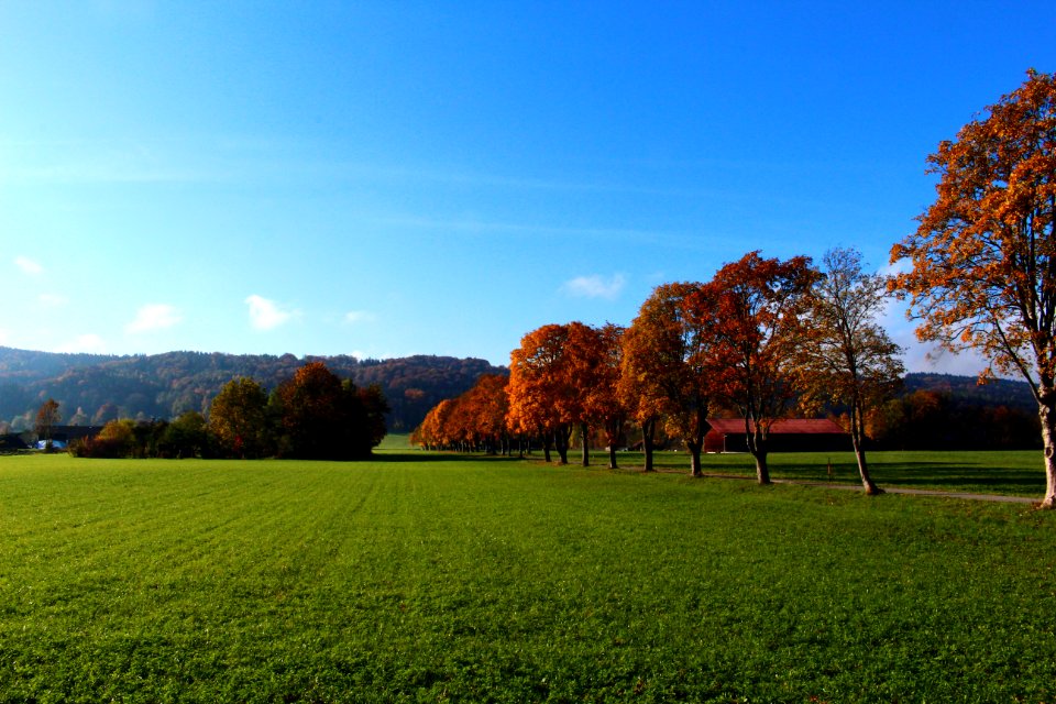 Vagen, Feldkirchenwesterham, Deutschl