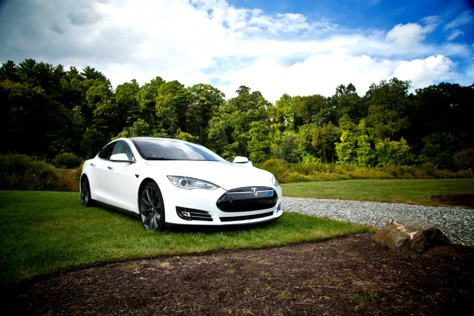 white tesla parked on green grass lawn during day time