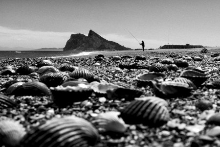 Santa margarita, Spain, Shell