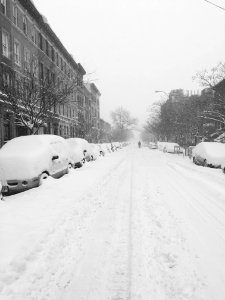 Brooklyn, New york, United states