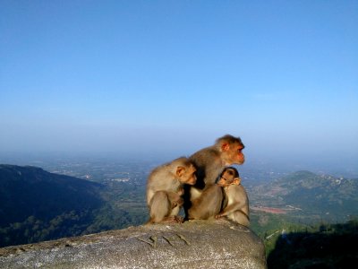 I hills, India, Nature photo