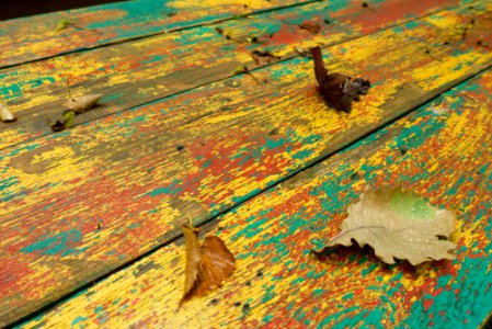 Leaf, Wood, Texture