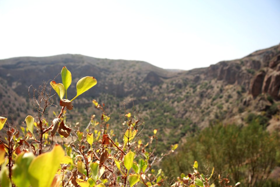 Caldera de b, Ama, Spain