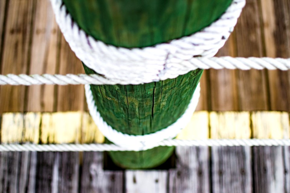 Lake, Marine, Closeup